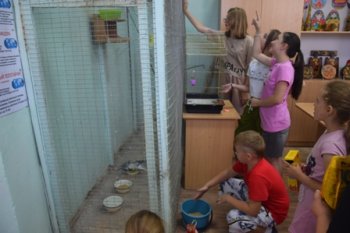 Улица экологов